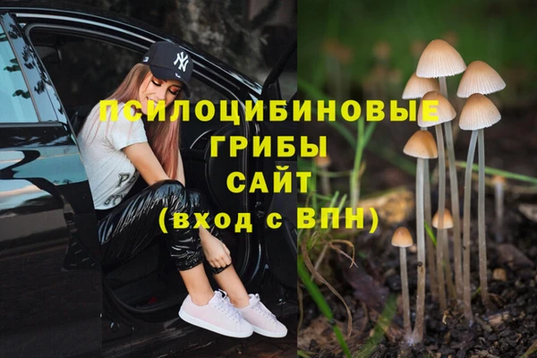 гашиш Абинск