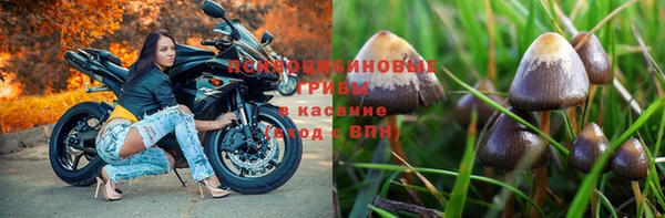 гашиш Абинск